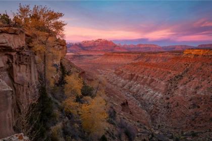 Zion Sunrise - image 18