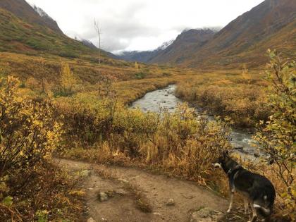 Hatcher Pass Cabins - image 9