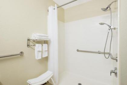 Microtel Inn & Suites By Wyndham Seneca Falls - image 4