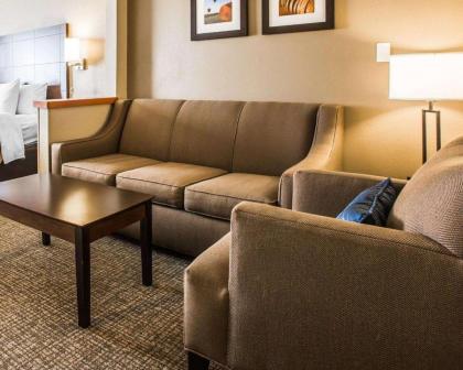 Comfort Inn & Suites Waterloo – Cedar Falls - image 6