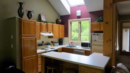 Pet Friendly Ski Vacation Condo in Waterville Valley Resort - image 9