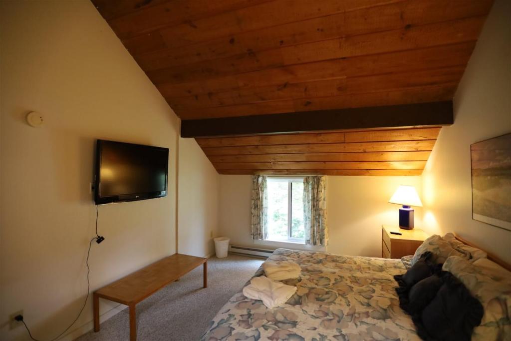 Waterville Valley Vacation Condo close to Town Square and Free Shuttle to Ski Area! - image 7