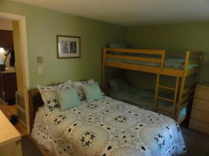 Waterville Valley Pet Friendly Vacation Condo close to Community Center! - image 11