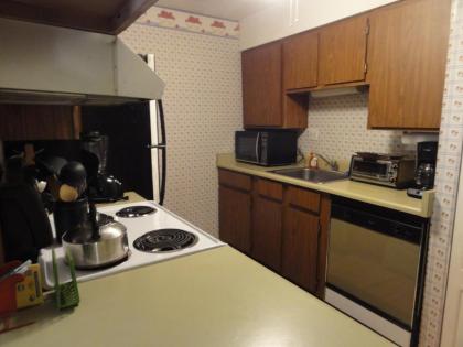 Waterville Valley Pet Friendly Vacation Condo close to Community Center! - image 13