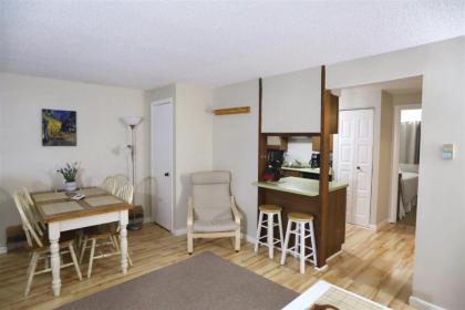 Waterville Valley Pet Friendly Vacation Condo close to Community Center! - image 4