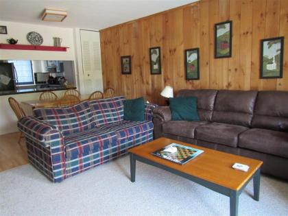 Pet Friendly Waterville Valley Condo for the family! - image 3