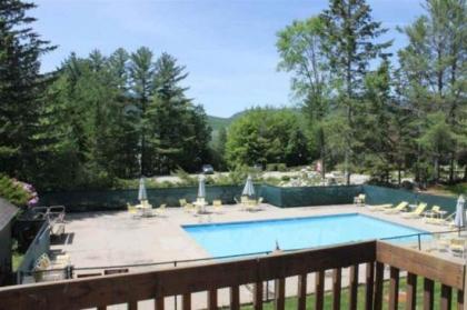 Pet Friendly Waterville Valley Condo for the family! - image 9