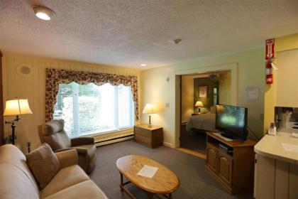 Inns of WV 104 1bd Waterville Valley - image 3