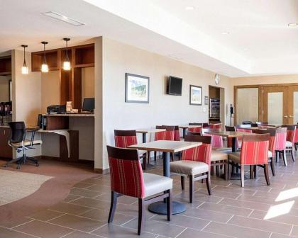 Comfort Inn & Suites Watford City - image 10