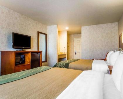 Comfort Inn Watsonville - image 3