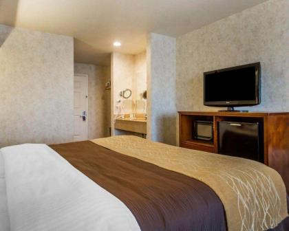 Comfort Inn Watsonville - image 4