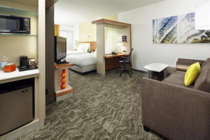 SpringHill Suites by Marriott Chicago Waukegan/Gurnee - image 12