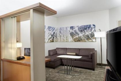 SpringHill Suites by Marriott Chicago Waukegan/Gurnee - image 13