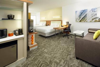 SpringHill Suites by Marriott Chicago Waukegan/Gurnee - image 14