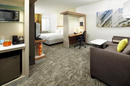 SpringHill Suites by Marriott Chicago Waukegan/Gurnee - image 15