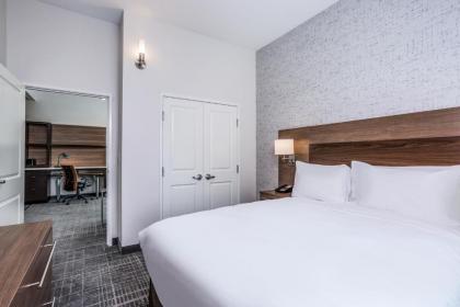 TownePlace Suites by Marriott Chicago Waukegan Gurnee - BRAND NEW - image 5