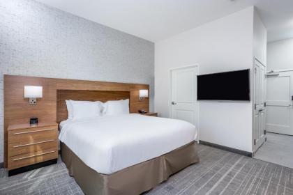 TownePlace Suites by Marriott Chicago Waukegan Gurnee - BRAND NEW - image 6