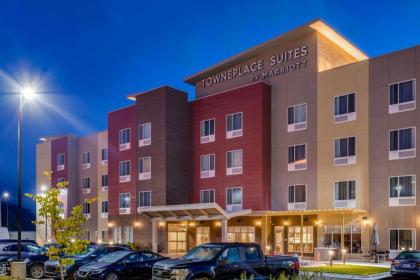 TownePlace Suites by Marriott Chicago Waukegan Gurnee - BRAND NEW - image 8