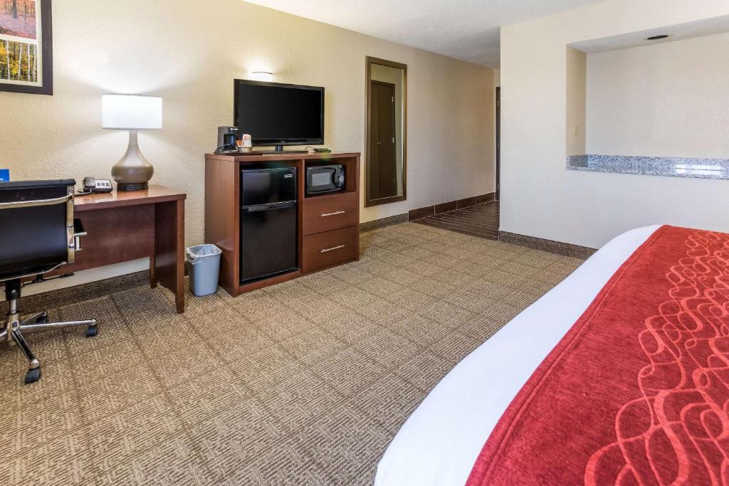 Comfort Inn - image 3