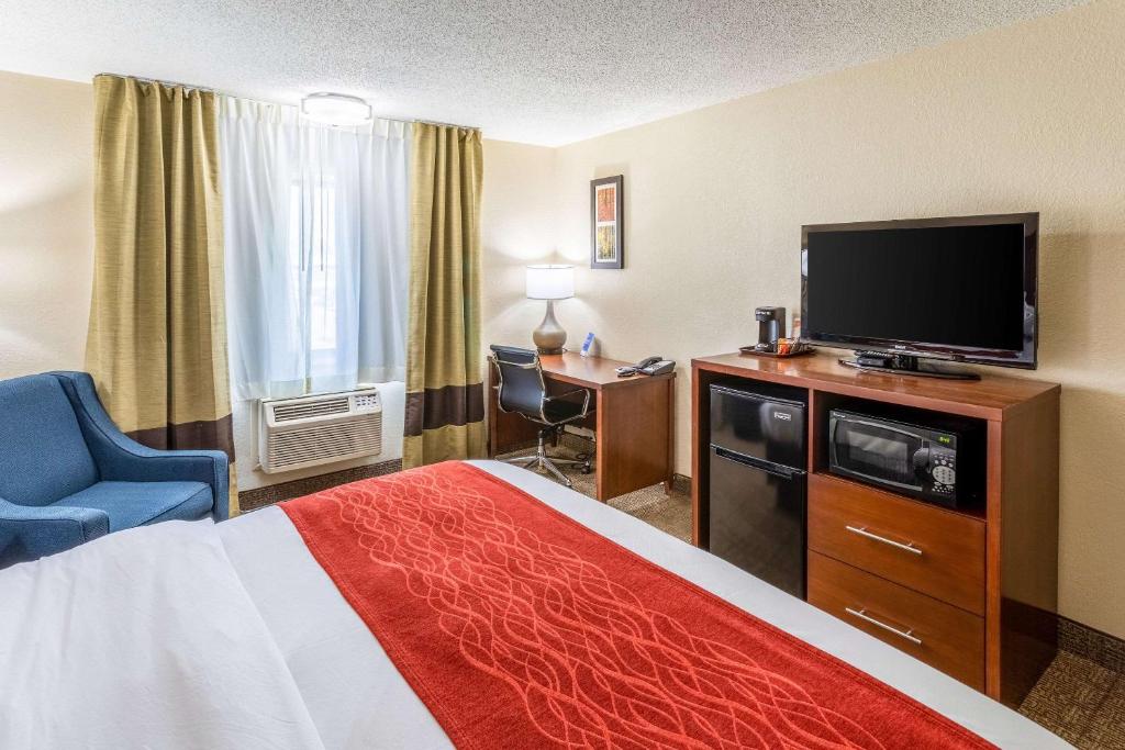 Comfort Inn - image 5