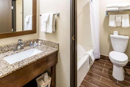 Comfort Inn - image 9