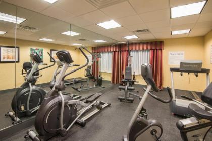 Holiday Inn Express Hotel & Suites Wauseon an IHG Hotel - image 4