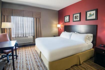 Holiday Inn Express Hotel & Suites Wauseon an IHG Hotel - image 8