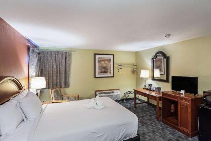 Rodeway Inn - image 4