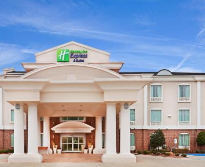 Holiday Inn Express Hotel & Suites Waxahachie an IHG Hotel - image 16