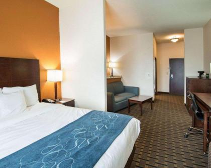 Comfort Suites Waxahachie - image 12