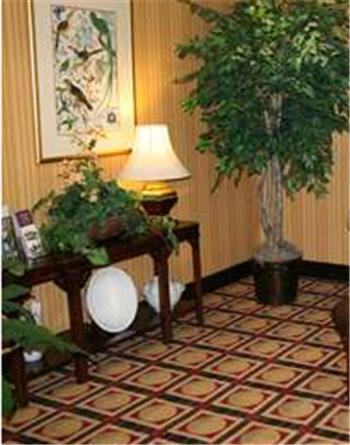 Hampton Inn Waycross - image 7