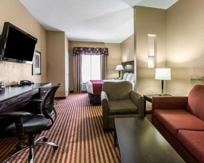 Comfort Suites Waycross - image 4