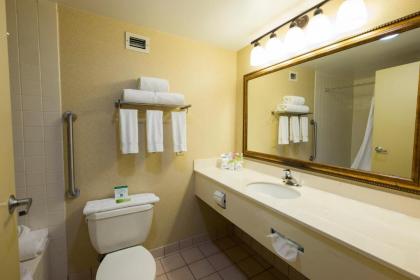 Holiday Inn Express Hotel & Suites Waynesboro-Route 340 an IHG Hotel - image 9