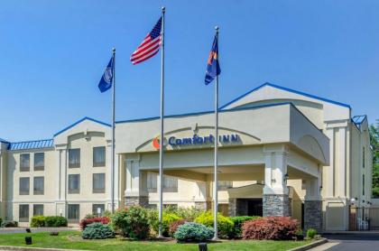 Comfort Inn Waynesboro - image 1