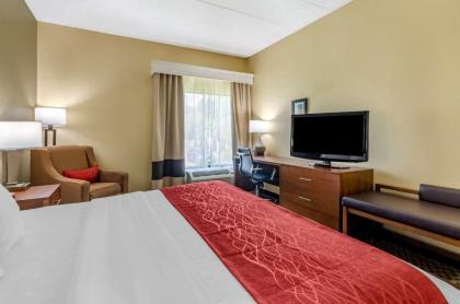 Comfort Inn Waynesboro - image 10