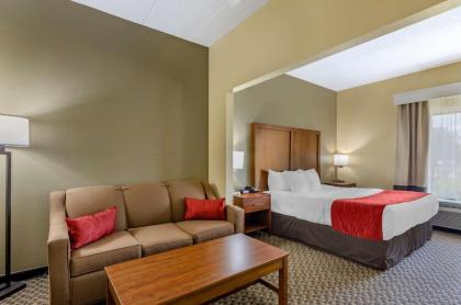 Comfort Inn Waynesboro - image 14