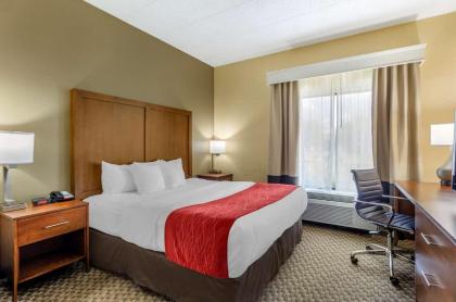 Comfort Inn Waynesboro - image 15