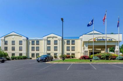 Comfort Inn Waynesboro - image 3