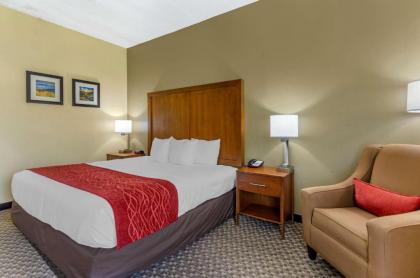 Comfort Inn Waynesboro - image 8