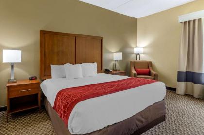 Comfort Inn Waynesboro - image 9