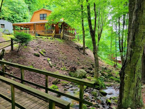 Creek Front Cabin snuggled up in the mountains - image 3