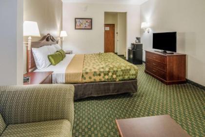 Econo Lodge Weatherford - image 9