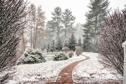 Brook Knoll · NEW! Beautiful Mtn Retreat w/Pool Near Asheville! - image 10