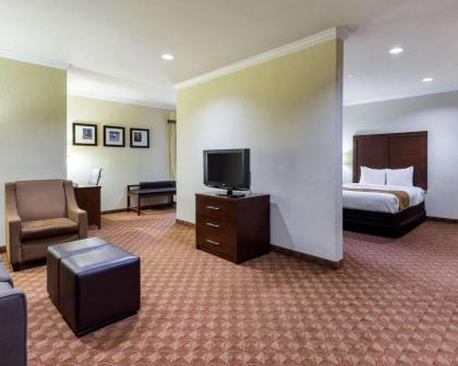 Comfort Suites near NASA - Clear Lake - image 5