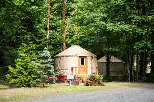 Mount Hood Village Premium Yurt 4 - main image