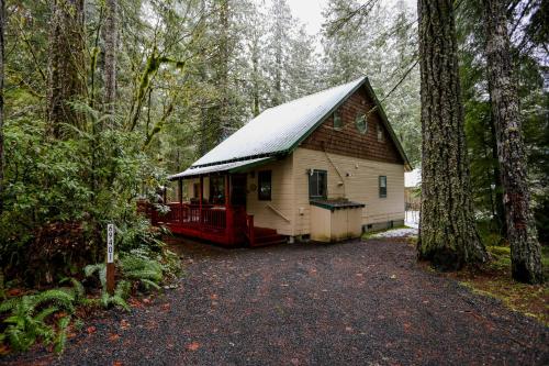 Papa Bear Cabin - image 2