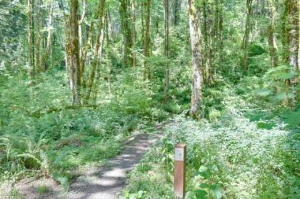 Marshall's Cabin in Rhododendron - image 4