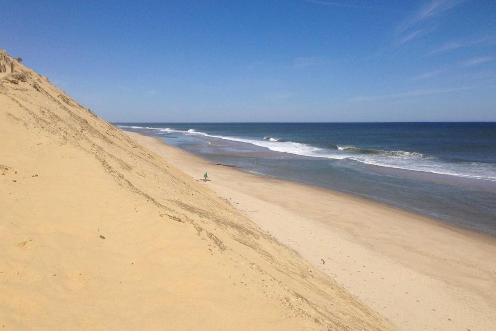 Darling Wellfleet Cottage Walk to Chipmans Cove! - image 3