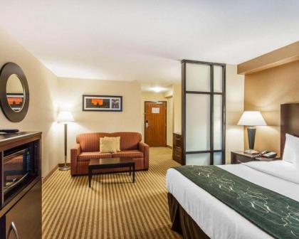 Comfort Suites Wenatchee Gateway - image 13