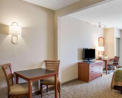 Comfort Inn & Suites West Chester - North Cincinnati - image 15